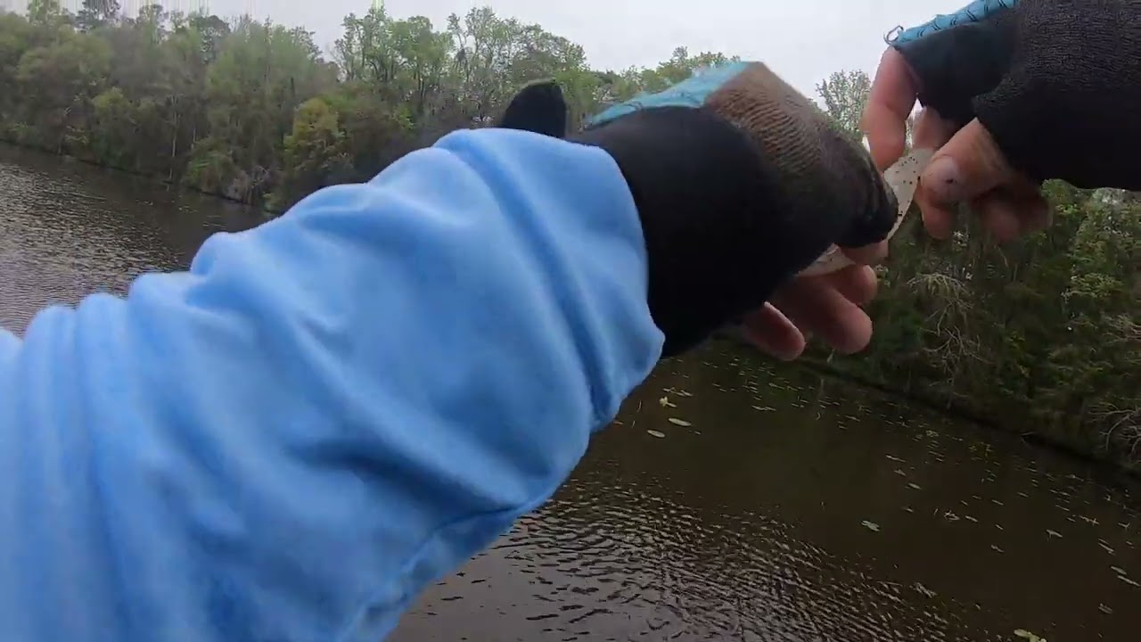 Bass Fishing on Lake Talquin on March 29, 2022. Tough Bite!