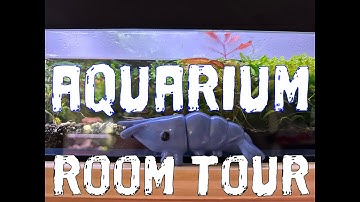 My Aquarium Room Tour | UNS Foresta, ADA 45P & 30C