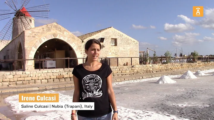 Salt, windmills and pink feathers. How Trapani sea salt is made.