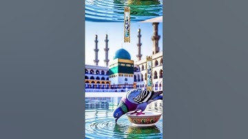 قُلْ إِنِّي أَخَافُ إِنْ عَصَيْتُ رَبِّي عَذَابَ يَوْمٍ عَظِيمٍ #تلاوة_خاشعة #قران_كريم #واحة_القمر