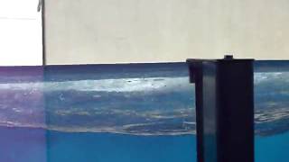 DSCF3429.AVI