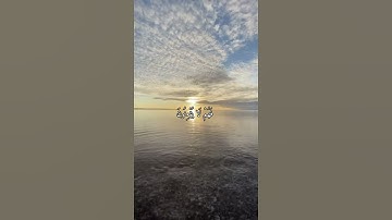 واتس اب قران كريم القارئ سعد الغامدي من سورة (يس)