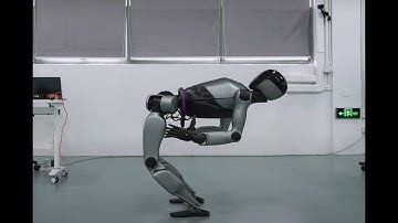 Fourier GR 2 Humanoid Robot has found its next dream: becoming a bodybuilder!