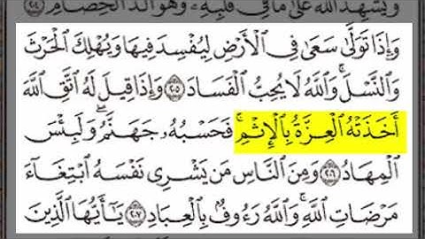 تلاوة الاية 205-207 من سورة البقرة
