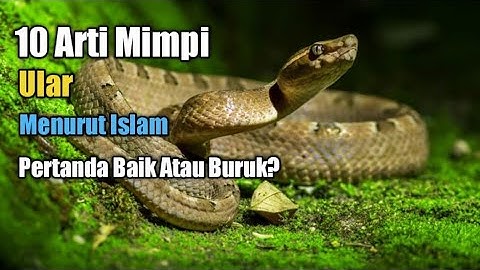 10 Arti Mimpi Ular Menurut Islam, Ada Baik dan Buruk
