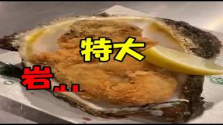 【25年物】超特大岩牡蠣を牡蠣フライにしてみた！！