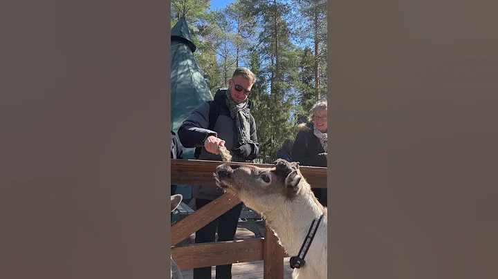 A Day In The Life Of A Cruise Ship Musician - Helsinki