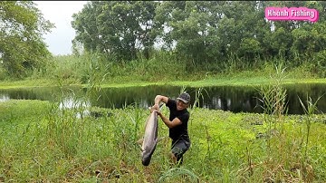 Vật lộn với con cá tra khủng tại Rừng U Minh Thượng- Khánh Fishing