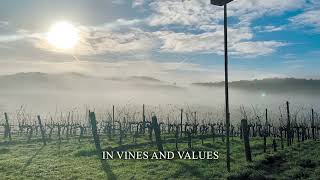 Vines and Values: A Consumer's Guide to Sustainable Wine by Sandra E. Taylor