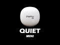 PaMu Quiet Mini Review - Affordable ANC Earphones