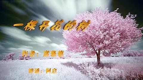 《一棵開花的樹》席慕蓉 - 天天要聞