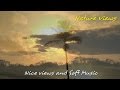 Nature Views - 15 minutes of nature photography and 1080p sunsets