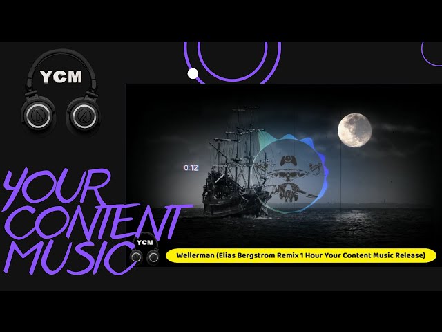 Wellerman (Elias Bergstrom Remix 1 Hour Your Content Music Realese) class=