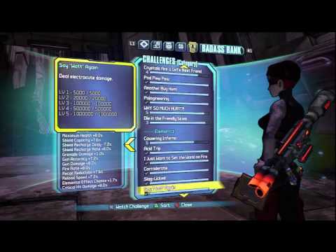 borderlands-2---challenge-accepted-trophy-/-achievement-guide