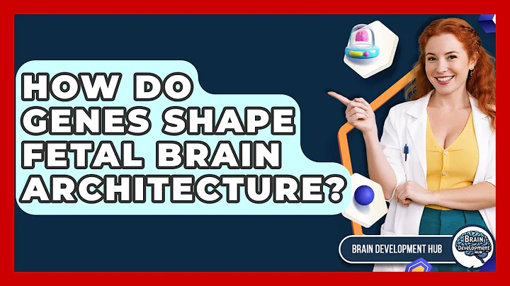 How Do Genes Shape Fetal Brain Architecture? - Brain Development Hub