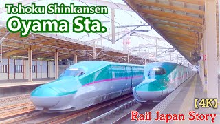 OYAMA STATION on the Shinkansen Lines. Bullet Trains Passing, Arriving & Departing | Train Japan