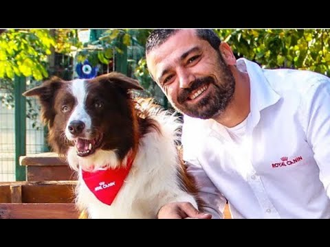 Yetenek Sizsiniz'de sahibi Ali Yeşilırmak'la beraber şampiyon olan köpek Max öldü