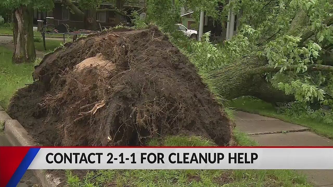Cleaning up after the storms - YouTube