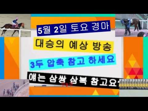 재밌는 말 토요 삼복 과 삼쌍 다시한번 확인요?