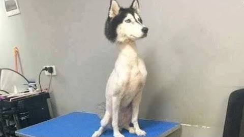 Getting Over It Speedrun 2:20