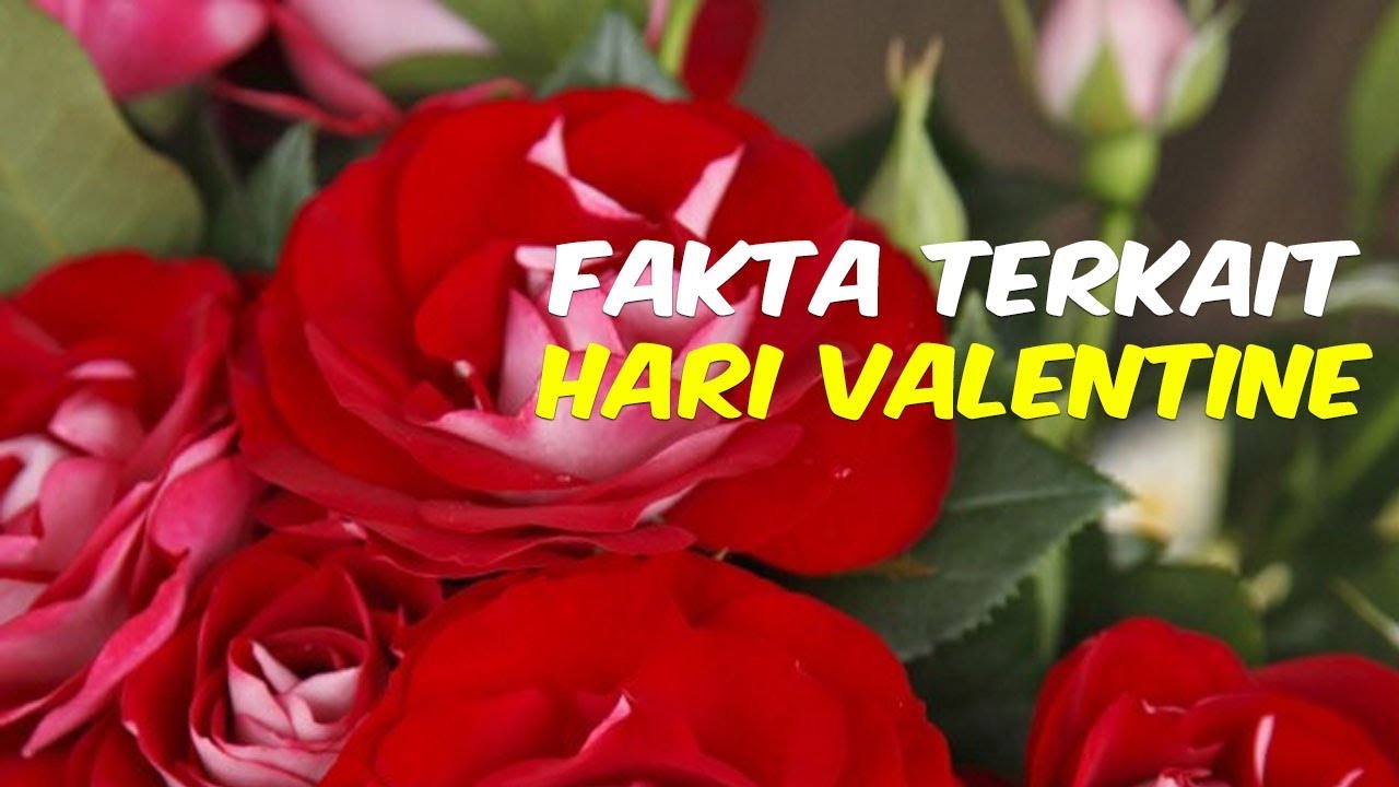 30 Ucapan Dan Kata Mutiara Hari Valentine Dalam Bahasa Inggris