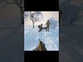 Стой стой #gaming #armareforger #games #military #echo #arma3 #milsim #
