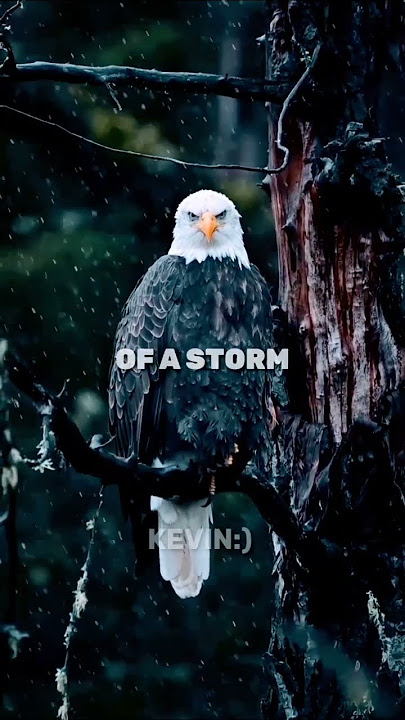 EAGLE USES🔥💯 ~ MOTIVATION | WHATSAPP STATUS #shorts #quotes