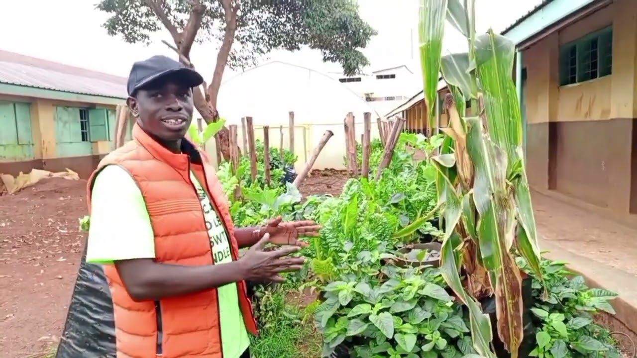 Success Story of the Blind Go Green Kitchen Gardening 