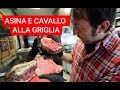 ASINA E CAVALLO ALLA GRIGLIA SUL LAGO DI GARDA!