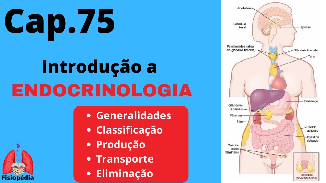 Cap.75: Introdução a endocrinologia