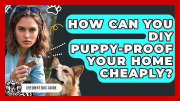 How Can You DIY Puppy-proof Your Home Cheaply? - Obedient Dog Guide