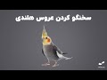 چگونه عروس هلندی را سخنگو کنیم؟