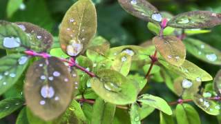 Йога с катериной буйда видео(Йога с катериной буйда видео. Любители йоги смотреть. Агни йога что это. Йога гибкое тело. Видео йога для..., 2015-11-05T21:07:44.000Z)