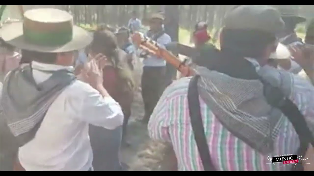 Los preregrinos de la hermandad del Rocio de Pilas👉 cantan sevillanas mientras se dirigen al Rocio