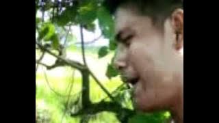 Lagu tapsel bulung botik. (Paluta punya) ...3gp