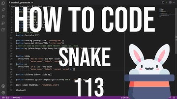how to code racket 113 - snake