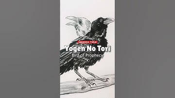 prophecy bird #yokai #yokaiwatch