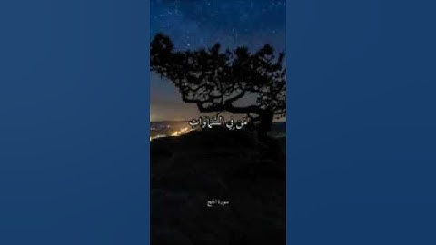 أَلَمْ تَرَ أَنَّ الْلّٰهَ يَسْجُدُ لَهُٓ. سورة الحج/ علي جابر