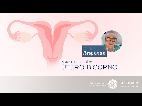 Vídeo: Existem vários graus de útero bicorno?