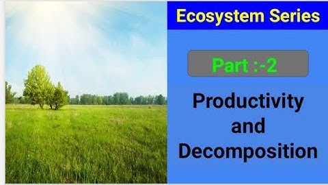 Productivity and Decomposition | Functions of Ecosystem Ecosystem Part -2। Easy & systematic Notes 💯