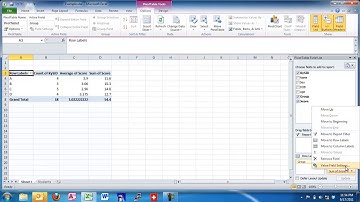 Calculating Descriptive Statistics using Pivot Tables