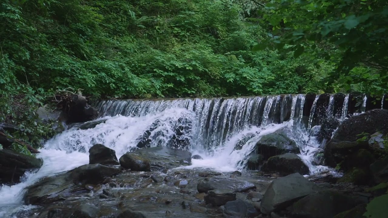 Watch Classical music - Aeris - Arden Forest , Beautiful piano music, Clam Relax on YouTube Watch Classical music - Aeris - Arden Forest , Beautiful piano music, Clam Relax on YouTube