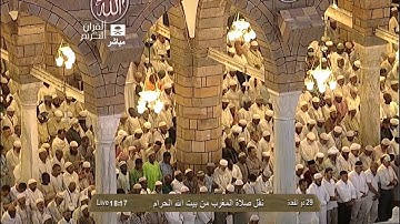 سورة الفجر الشيخ ماهر المعيقلي مغرب السبت 29-11-1434
