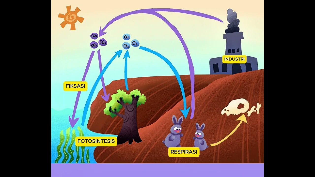 DAUR KARBON || MATERI EKOSISTEM - BIOGEOKIMIA
