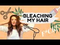 Bleaching My Hair at Home So You Don't Have To