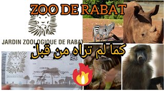 ZOO DE RABAT حديقة الحيوانات بالرباط..تفاصيل التذاكر وتوقيت الدخول والخروج حسب الفصول