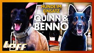 DROGENSPÜRHUNDE IM EINSATZ – Undercover mit der Polizei Frankfurt