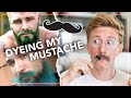 well... i dyed my mustache