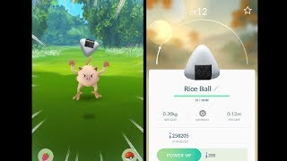 Legendary Pokémon? Well I caught a Rice Ball! (Pokémon GO)