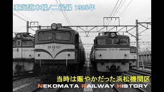 国鉄 東海道本線/二俣線 1985　VOL.75　Nekomata Railway History　賑やかな東海道と浜松機関区、珍しいクモヤ495とクモヤ494も。二俣線は客車団臨遠州号。